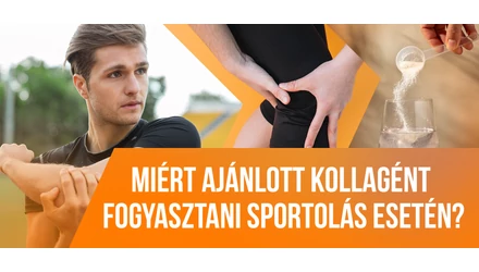 Miért és mennyi kollagén fogyasztása ajánlott sportolás esetén? 